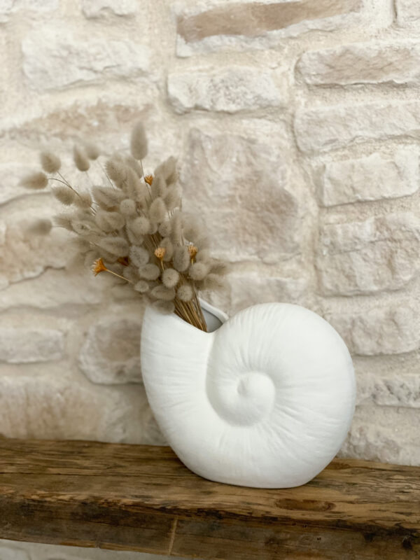 Vase Coquillage – Image 2