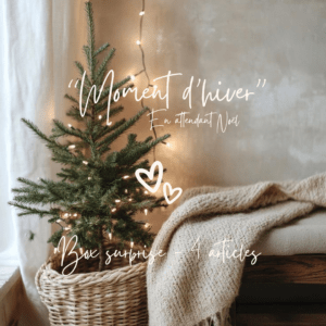 Box "Moment d’hiver"