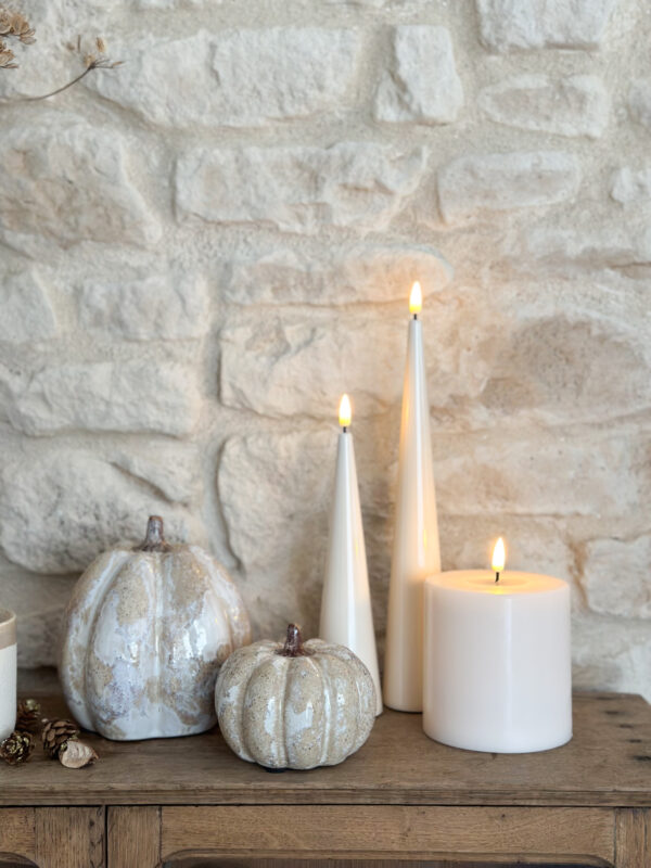 Courges d'automne – Image 2