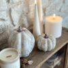 Courges d'automne