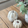 Courges d'automne – Image 3