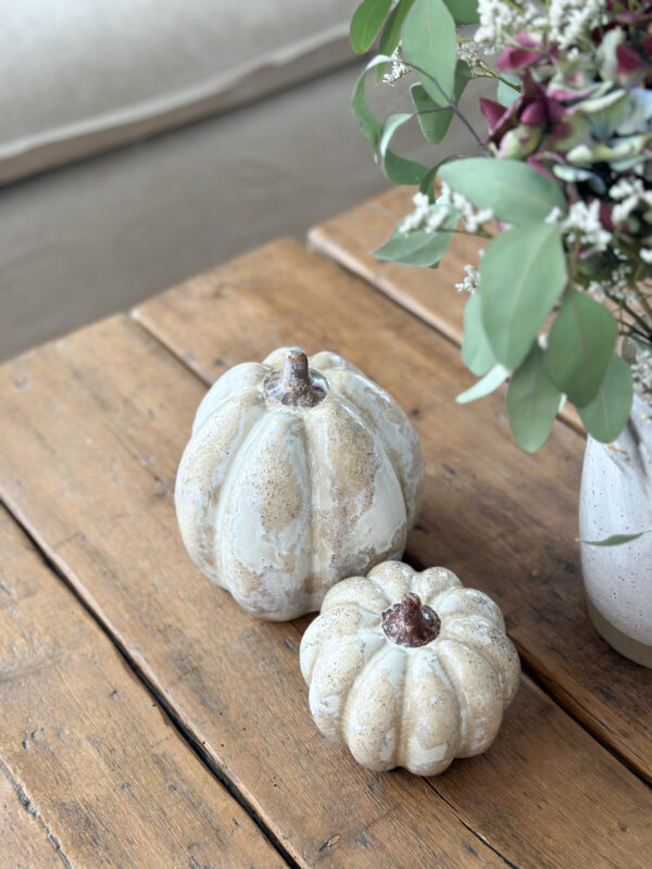Courges d'automne – Image 3
