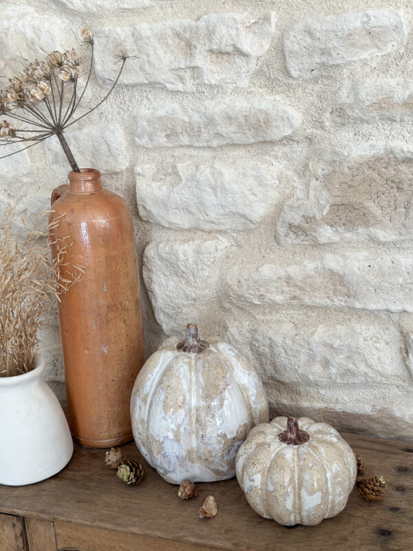 Courges d'automne – Image 4