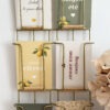 Jolies cartes postales