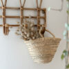 Petit panier
