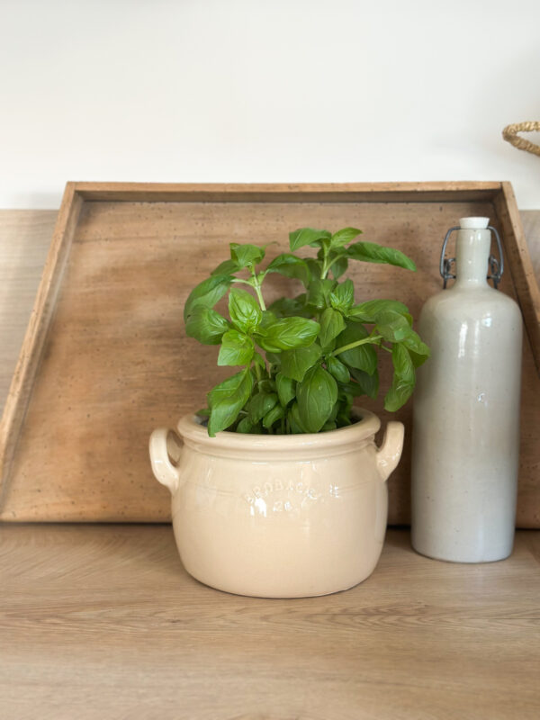 Pot en grès - broc’ crème (n°2) – Image 3