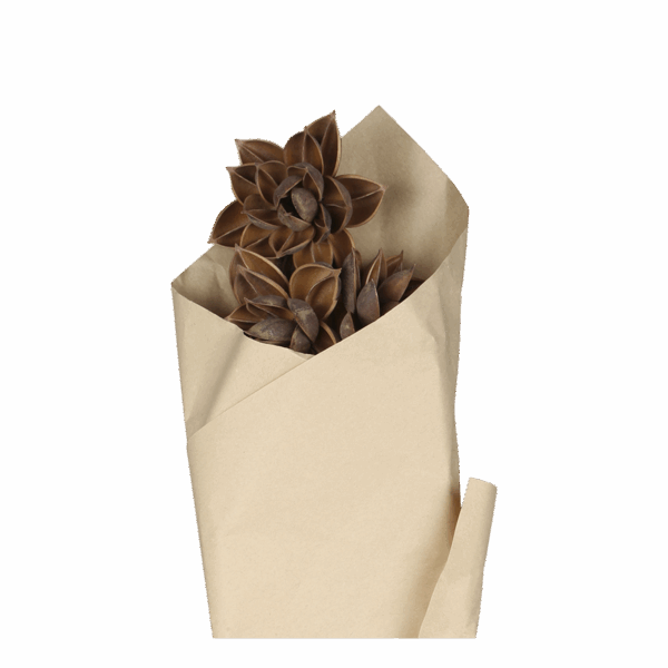 Fleur décorative - marron – Image 3
