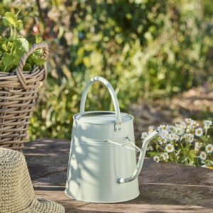 Arrosoir vintage - vert sauge