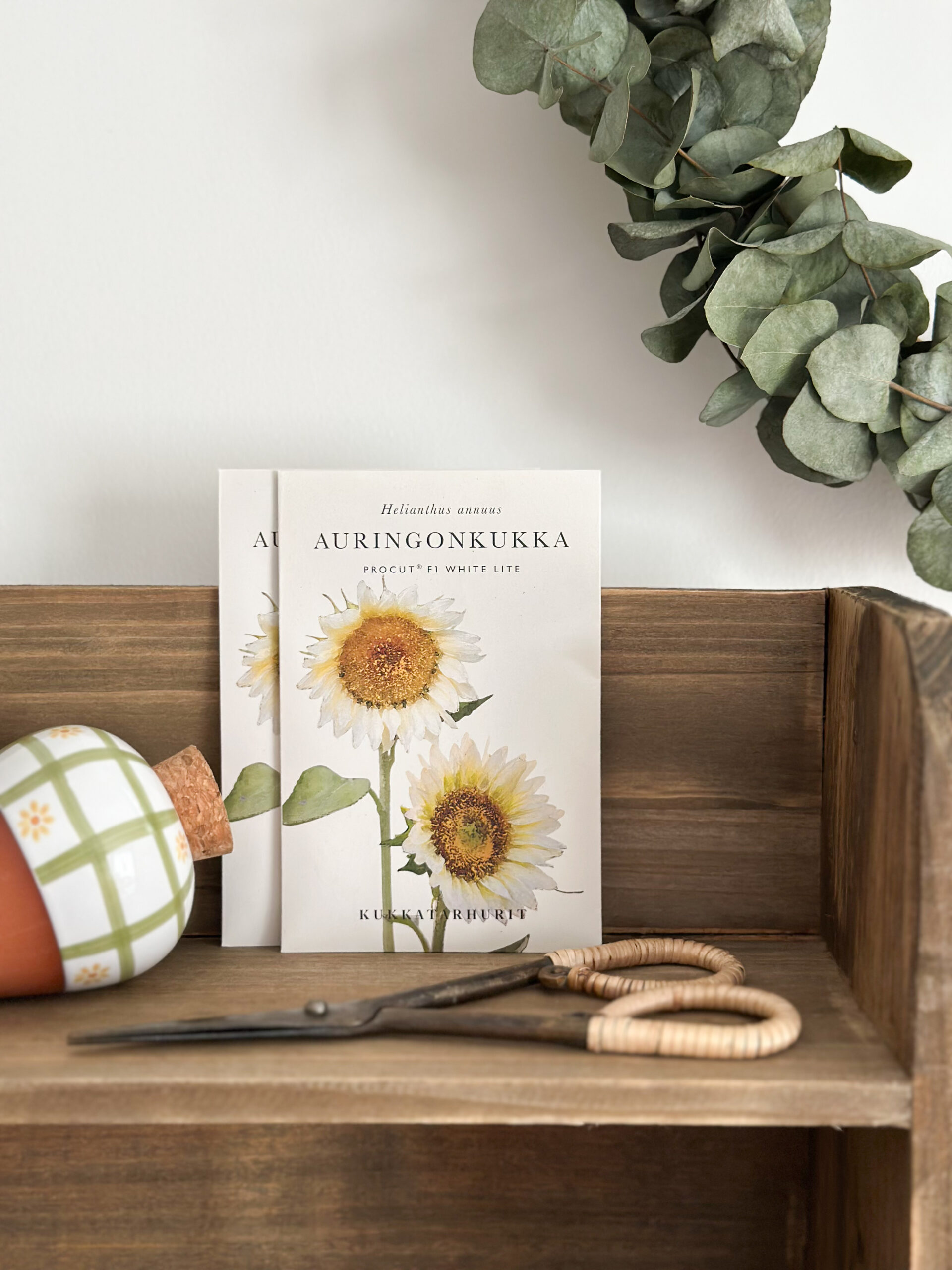 Tournesol « White lite »