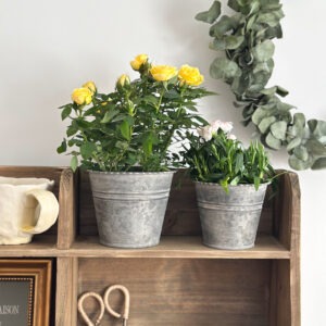 Cache pot en zinc - set de 2