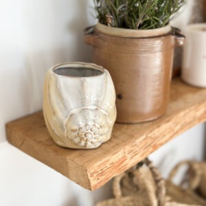 Corelia - tasse coquillage