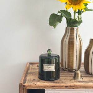 Bougie cloche botanic - figue