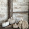 Courges d’automne - 4 modèles